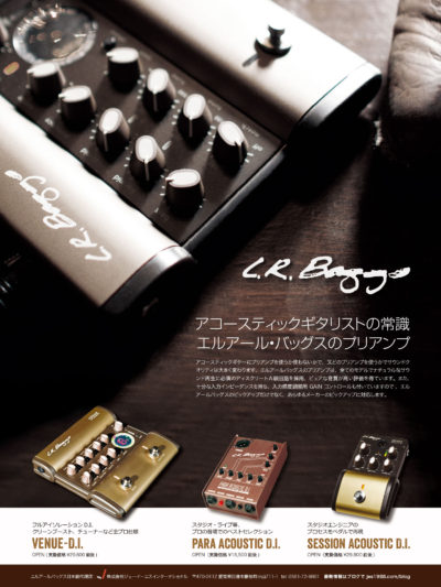 SoloGuitar2016-5Baggs